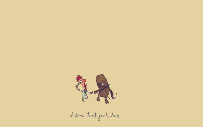 feel, bro, 1920x1200, chewbacca, memes, humor, know, funny, 1080P