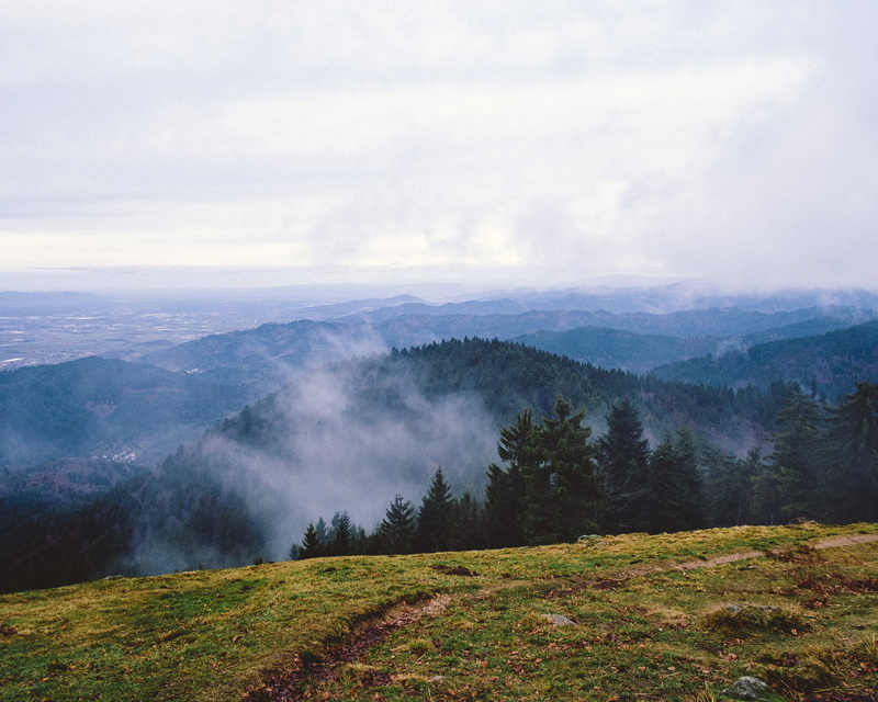 cloud - sky, land, nature, tree, beauty in nature, forest, fog, tranquil scene, germany, plant, 4K, pine woodland, green, woods, mountain, sky, pine tree