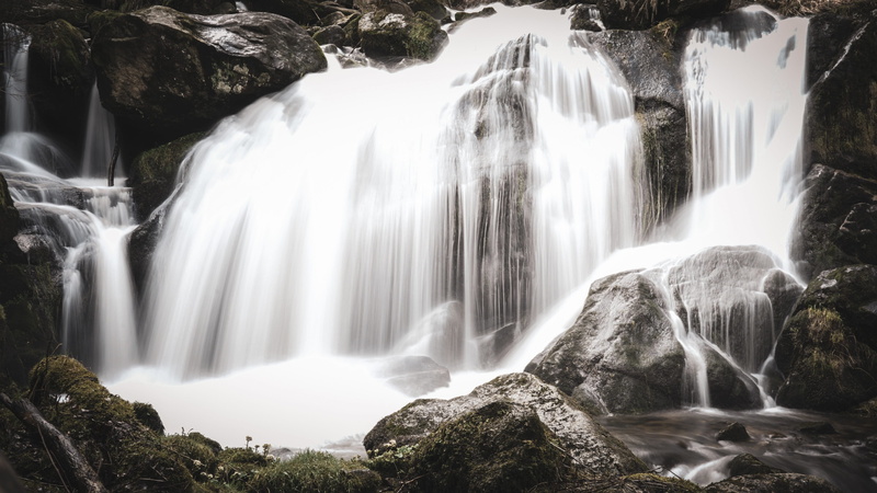 solid, energy, daytime, blurred motion, flowing water, photo, outdoors, mammal, false, animal, rock - object, 4K, time, triberg, power, tree, rock, no people