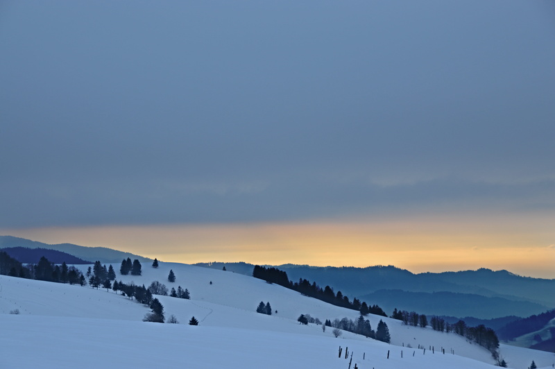 idyllic, animal, peak, mountain peak, cold temperature, sunset, scenery, environment, covering, ice, fir, conifer, person, non-urban scene, plant, nature