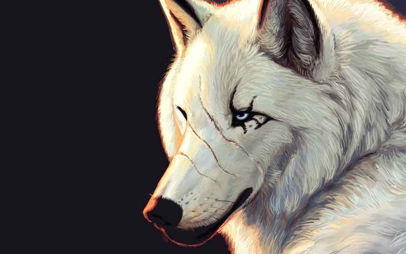 wolf, 1080P, drawing, digital/artwork, hd