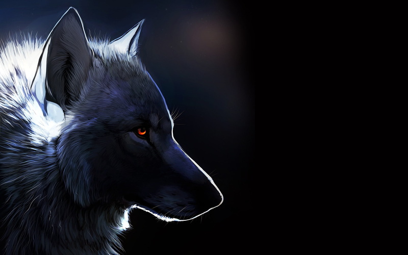 wolf, drawing, hd, 1080P, digital/artwork