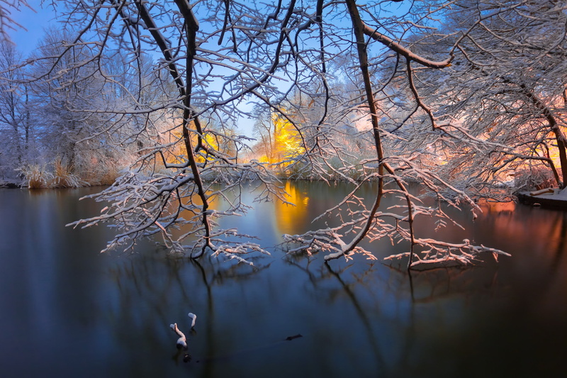winter, Brooklyn, lake, New York City, 1080P, New York, Prospect Park, branches