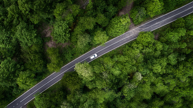 outdoors, mode of transportation, day, green color, woodland, highway, white, growth, nature, prospective, transportation, sign, road, no people, photography