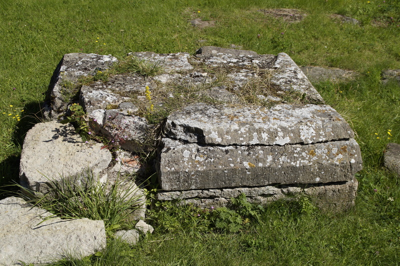 solid, podium, cracked, bark, pillar, no people, weathered, growth, stone - object, rock, grass, stony, high angle view, green color, tree, 5K, tranquility