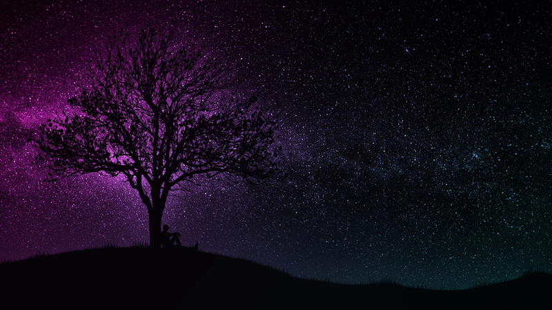 4K, dark, art, purple, starry sky, silhouette, tree, 4k uhd background, miscellaneous, hill, man, black