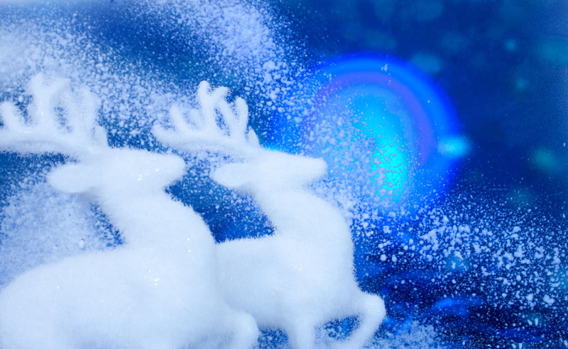 graphics, christmas, holidays, 4K, snow, miscellaneous, deer, white, reindeer