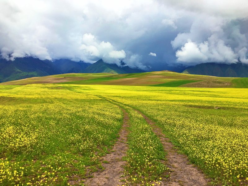 outdoors, outdoor, rural Scene, scenery, scenic, green Color, cloud - Sky, Mountain, plant, clouds, Lie, near, sky, field, meadow, grassland, hill  field