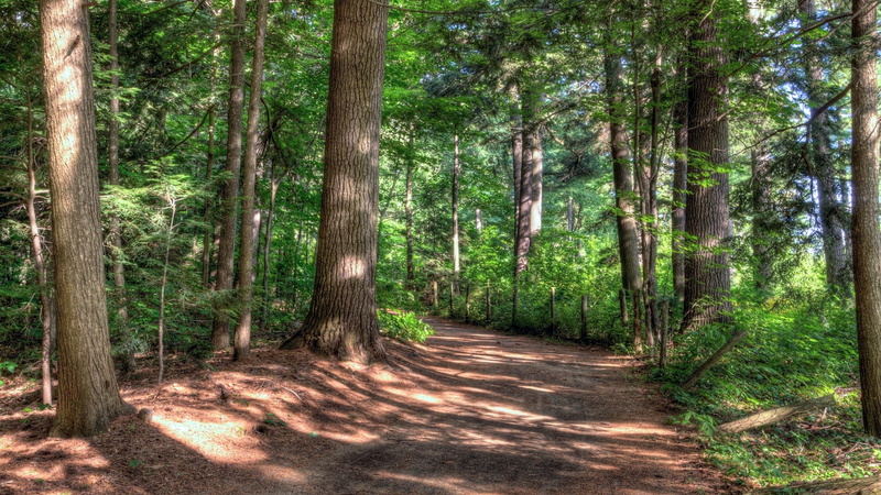 1080P, widescreen nature  high resolution 1920x1080