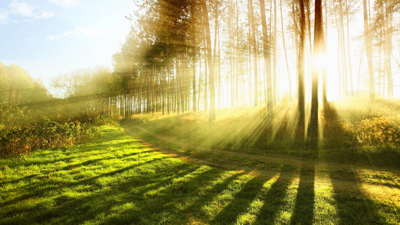 landscape, sun, tranquil scene, streaming, lens flare, outdoors, sunbeam, tranquility, sunlight, scenics - nature, growth, plant, widescreen nature  high resolution 1920x1080