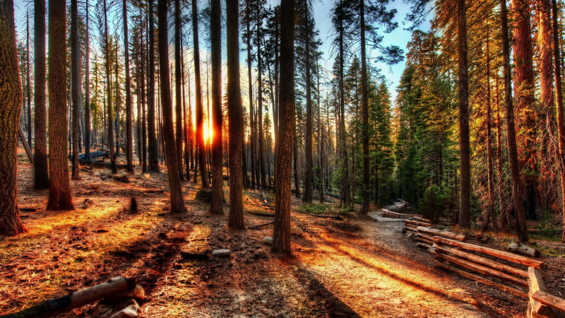 1080P, widescreen nature  high resolution 1920x1080