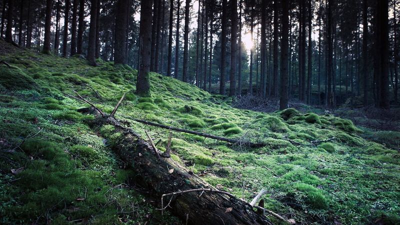 widescreen nature  high resolution 1920x1080, 1080P