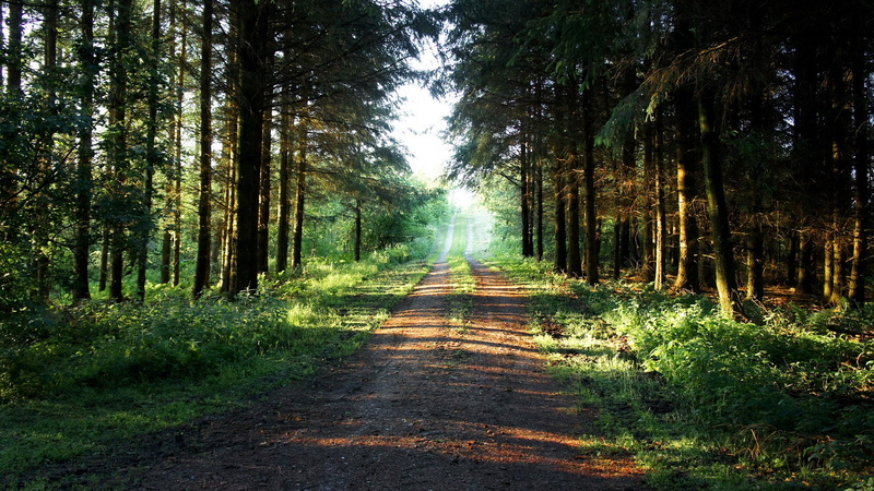 widescreen nature  high resolution 1920x1080, 1080P