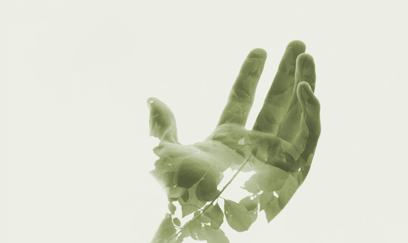 4K, hands, leaves, double exposure