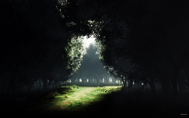 green, tranquil scene, nature, direction, fog, sunlight, grass, scenics - nature, growth, beauty in nature, treelined, tranquility, trees, green color