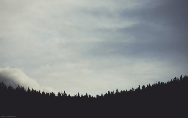 forest clearing, calm, woodland, tranquil scene, non-urban scene, scenics - nature, cloud - sky, outdoors, coniferous tree, pine tree, landscape, sillhouette