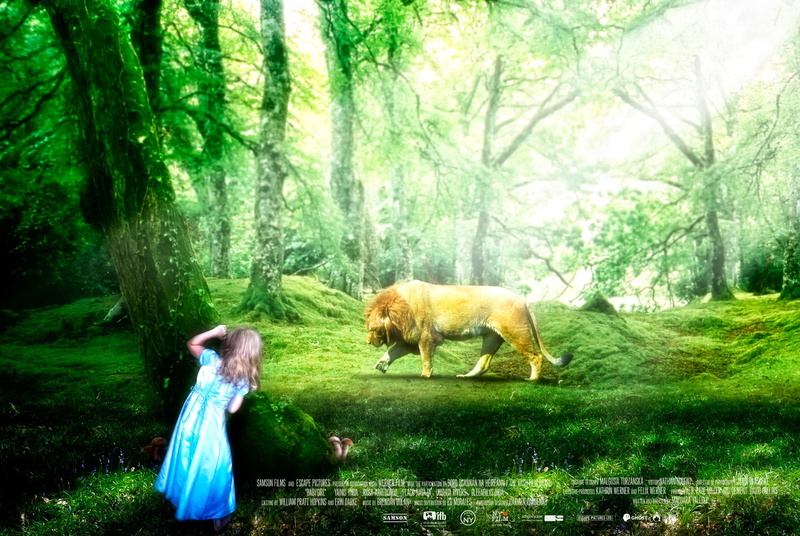 lion, 1080P, children, forest clearing
