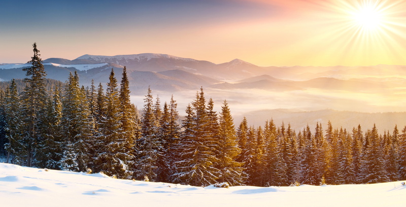 environment, trees, coniferous tree, clear sky, pine woodland, no people, snowcapped mountain, mountain, land, frozen, landscape, winter, plant, sun rays