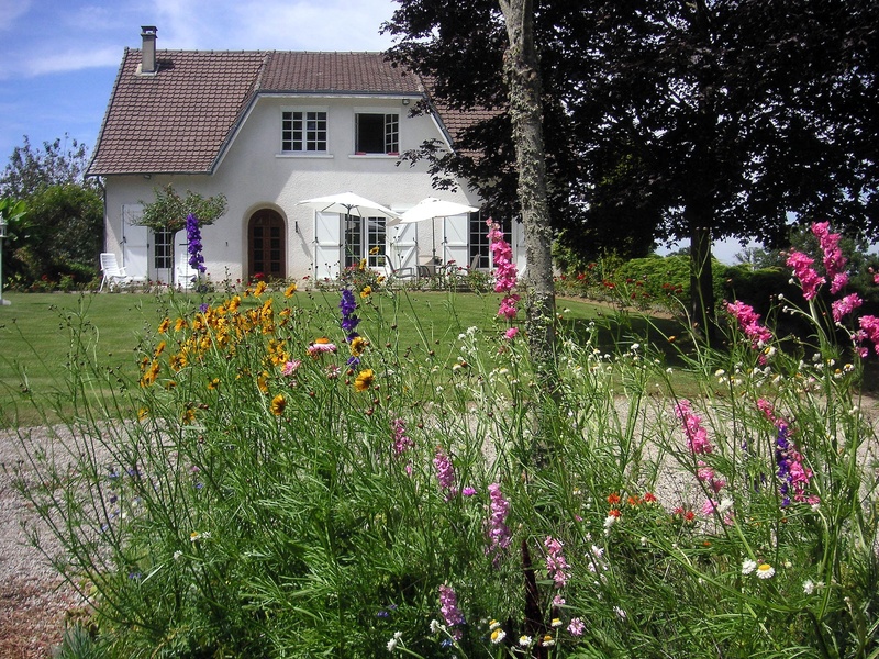 hut, meadow, idyllic, green color, plant, building, structure, 2K, flowering plant, lawn, residential district, flowerbed, architecture, cottage, cabin