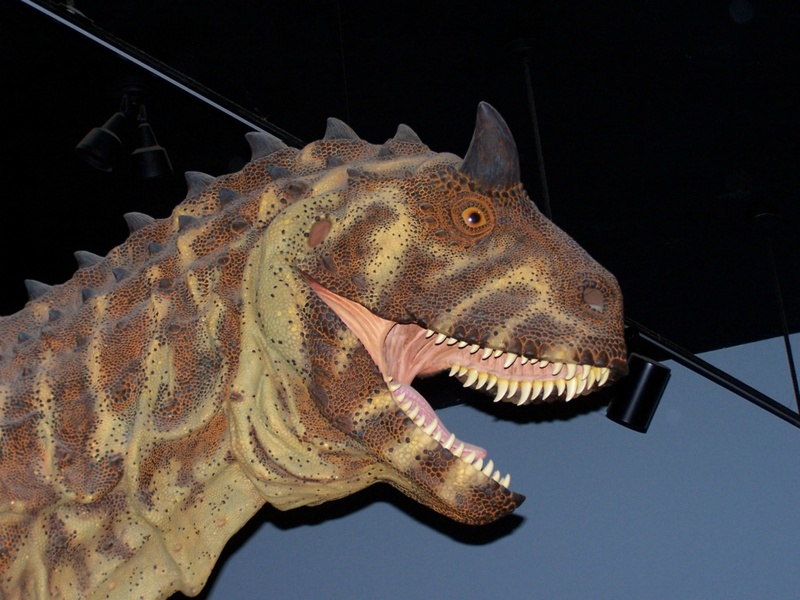 mouth, one animal, mouth open, animal themes, dinosaur, black background, animal scale, animals in the wild, 1080P, animal head, vertebrate, low angle view