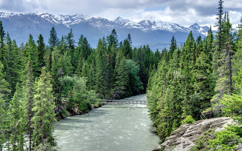 Trees, Bridge, River, Alberta, Canyon, Canada, 2K, Maligne