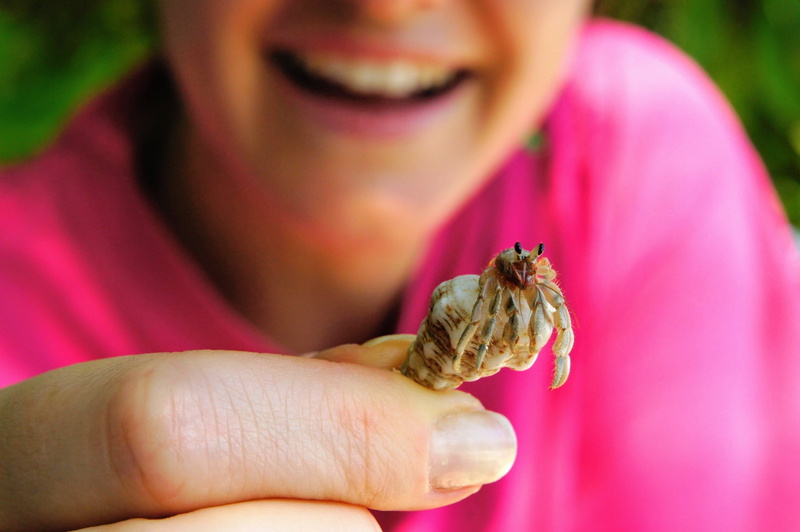 sand, detention, focus on foreground, invertebrate, cancer, one woman only, people, animal wildlife, sea animals, one person, close-up, beach, outdoors