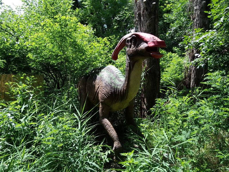 nature, creature, growth, mammal, domestic animals, livestock, 2K, tree, animal, herbivorous, day, vertebrate, outdoors, animal wildlife, no people, dinosaurs