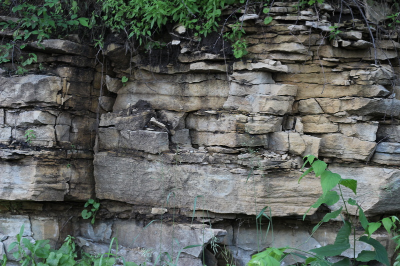 weathered, texture, stone wall, gray, sediment, growth, stone, plant, green, plant part, architecture, mineral, sedimentary, textured, leaf, built structure