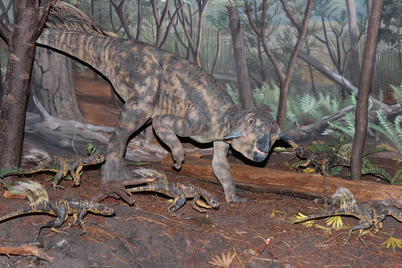 animal, nature, animal themes, no people, tree, side view, psittacosaurus, land, one animal, dinosaur, forest, outdoors, mammal, branch, baby dinosaur