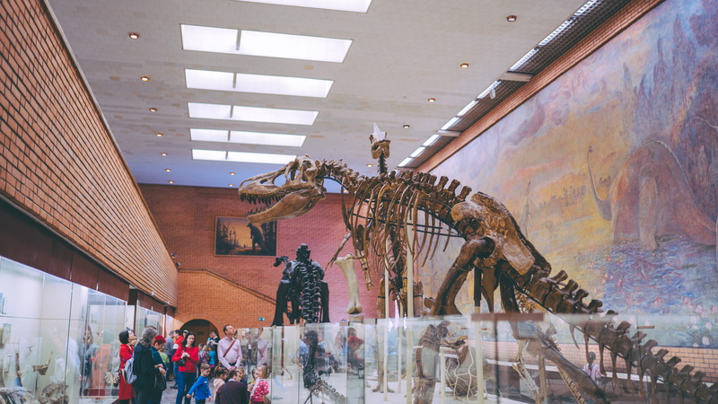 mural, creativity, art and craft, archeology, 8K, group of people, indoors, male likeness, built structure, human representation, representation, statue