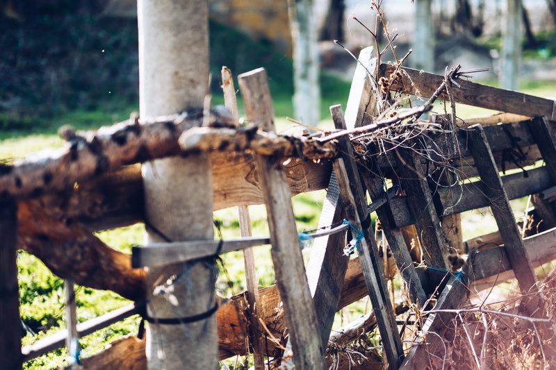 daytime, mammal, brown, wildlife, outdoors, close-up, bluebird, field, tree, plant, construction, metal, deforestation, safety, wood, abandoned, land, barbed wire