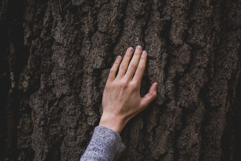 Earth, trunk, Outdoor, nature, tree, women, bark, real people, hand, day, lifestyles, human limb, photo, plant, textured effect, Trees, tree trunk, textured