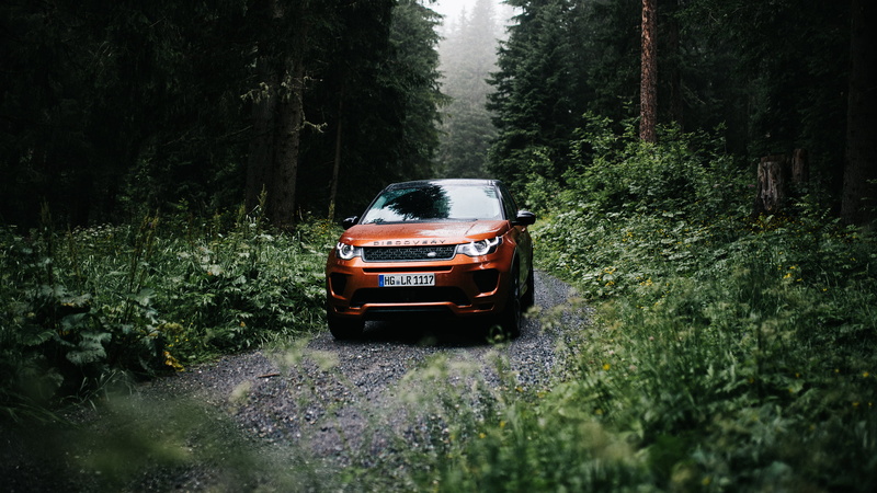Land Rover, landscape, 2K, car, tree bark, forest, vehicle, trees, road