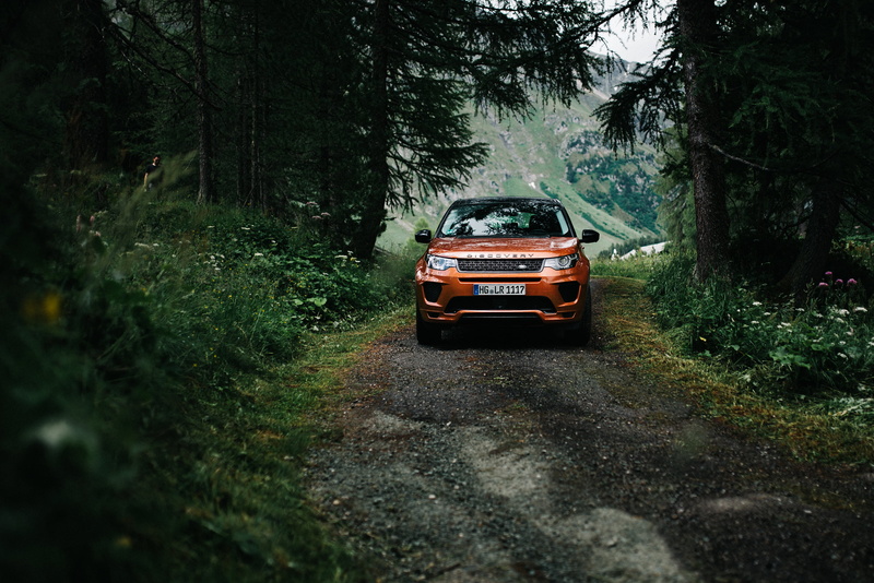 forest, trees, landscape, 2K, car, road, Land Rover, vehicle, tree bark