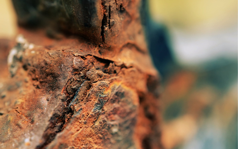 plant, tree trunk, outdoors, stones, lichen, surface, tree, rough, bark, textured, plant bark, brown, wood - material, depth of field, 1080P, no people