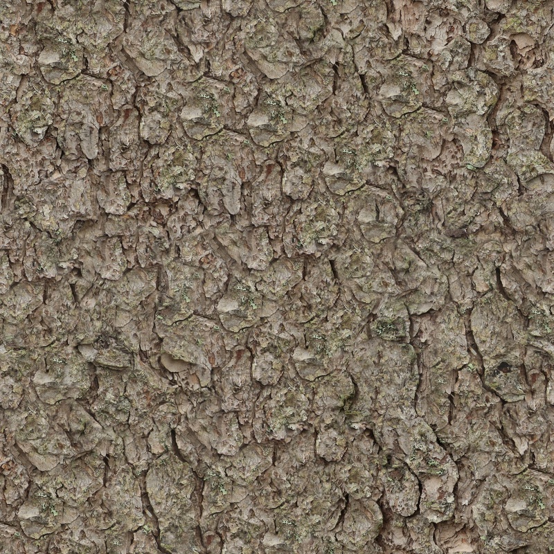 bark, built structure, seamless, texture, no people, trunk, nature, textured effect, architecture, textured, pine, blank, surface level, cracked, day, tree
