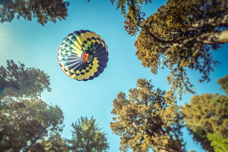 4K, California, Hot air balloon, Blue sky, Sequoia National Park, Forest, 4K