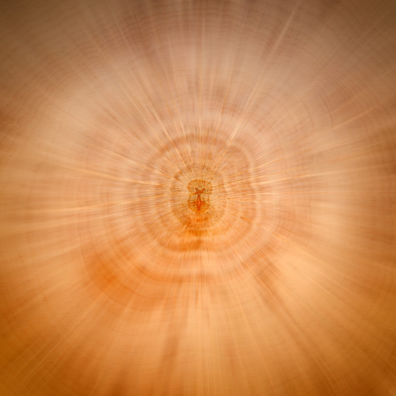 wood, breaking, abstract, no people, geometric shape, 1080P, backgrounds, magnification, pattern, technology, annual rings, zoom, gold colored, background