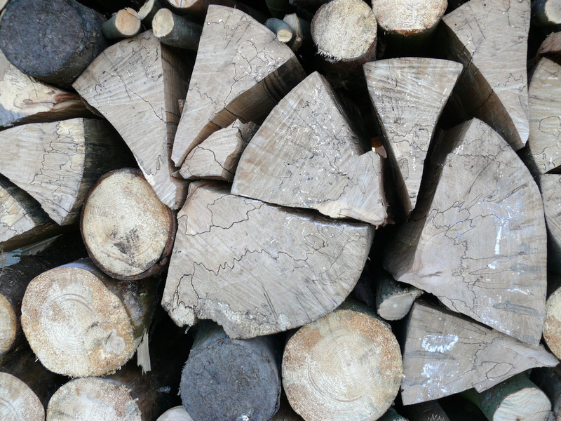 2K, lumber industry, annual rings, tree, chopped, structure, textured, backgrounds, large group of objects, wood, log, deforestation, fuel and power generation