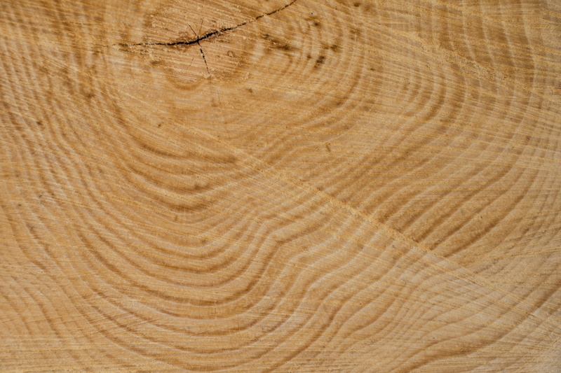 wood - material, full frame, backgrounds, grain, pine wood, untitled, tree ring, wood grain, annual rings, wood, tree, close-up, timber, textured effect