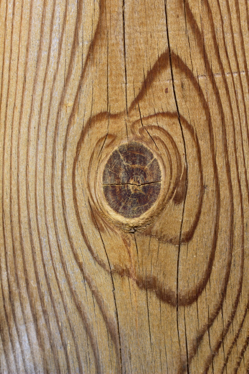 textured, brown, wood grain, sheet, outdoors, close-up, full frame, pine wood, wood - material, grain, rough, color, cracked, concentric, grained, stump