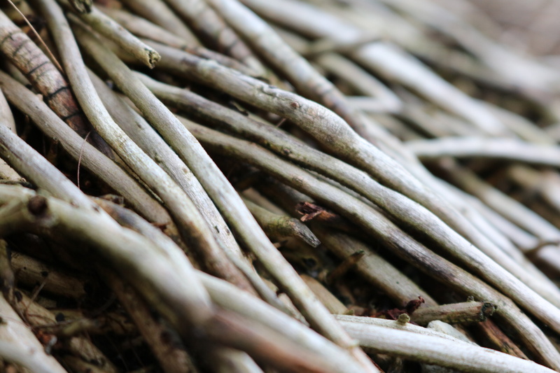 5K, large group of objects, food, still life, wood - material, freshness, aesthetic, pattern, brown, abundance, wooden structure, healthy eating, plant