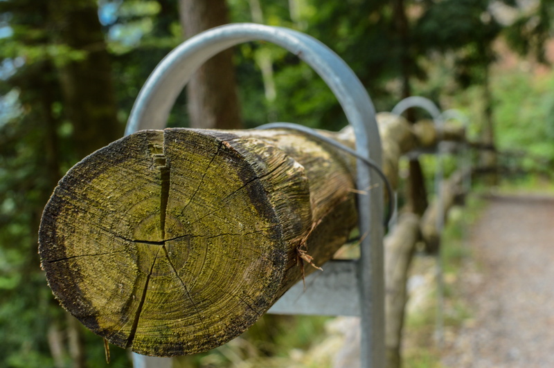 annual rings, barrier, wood - material, no people, food and drink, railing, structure, background, bark, agriculture, close, wooden structure, day, log