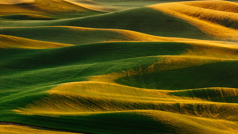 grass, Final Hour, washington, westrock, Canon EF, contrast, nature, shadows, 5K, green, golden hour, hour, 6L, Canon EOS 5D Mark III, rural, terrain