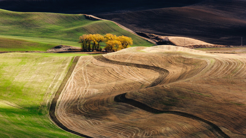 scenics, hill, daytime, rural Scene, agriculture, landscape, landscaped, shadows, 6L, green, Canon EF, steptoe butte, farm, US, land, rural, Pacific Northwest
