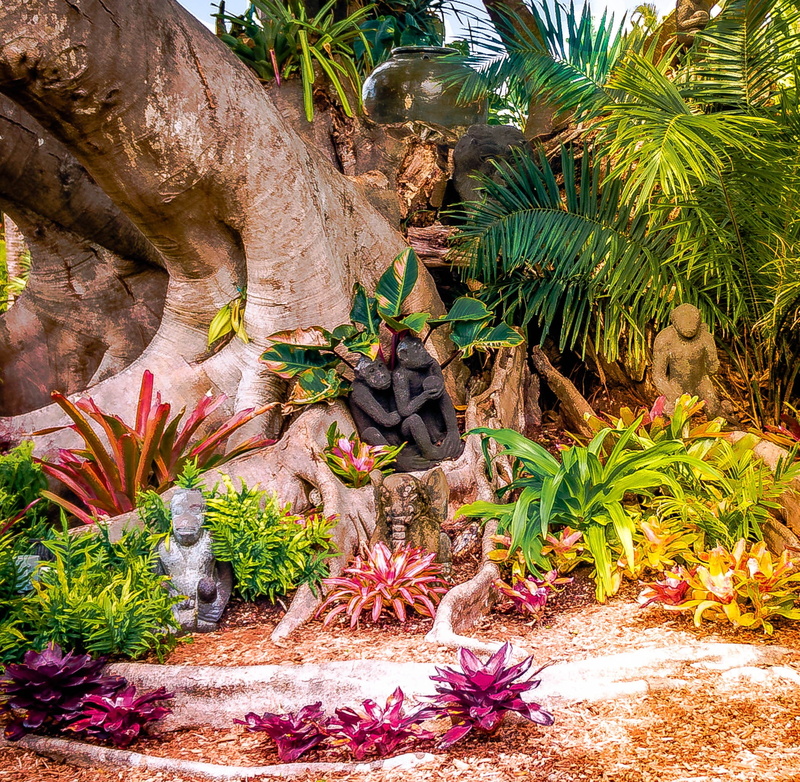 rock - object, palm tree, no people, green color, tree, day, peaceful, bonita springs, banyan tree, outdoors, beauty in nature, tropical climate, relax