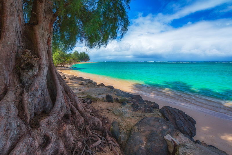 sea, thailand, 1080P, turquoise, tree, horizon, beach, ocean, banyan, earth