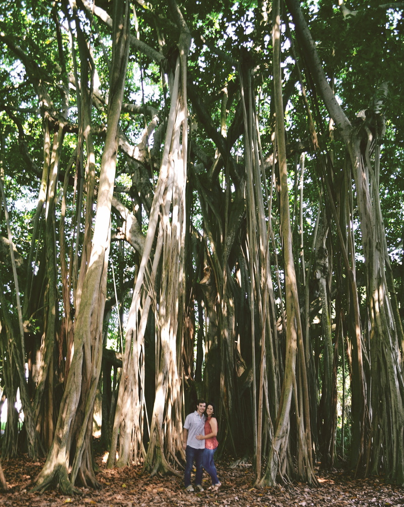 real people, engaged, lifestyles, 4K, one person, standing, florida, outdoors, jungle, nature, tree trunk, women, trees, woodland, tree, plant, engagement shoot