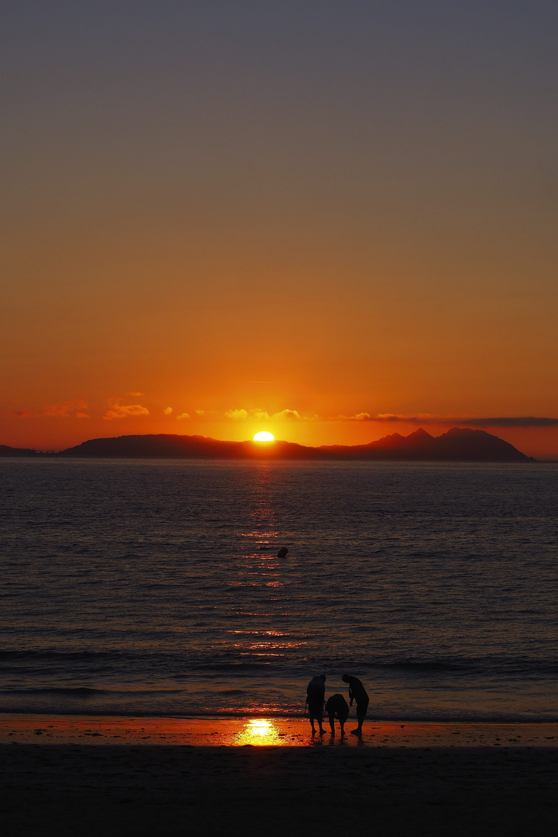 land, animal, samil, mammal, praia, water, domestic animals, teach, nature, orange color, sea, 4K, family, red, vigo, beauty in nature, sun, friendship