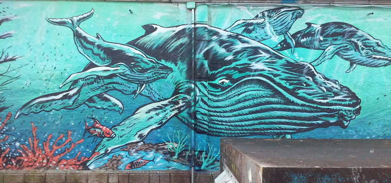 animal representation, day, no people, 1080P, muro, galicia, streetart, history, craft, graffiti, vigo, outdoors, ornate, walls, turquoise colored, wall - building feature